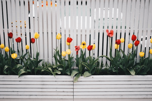 bloemetjes voor schutting