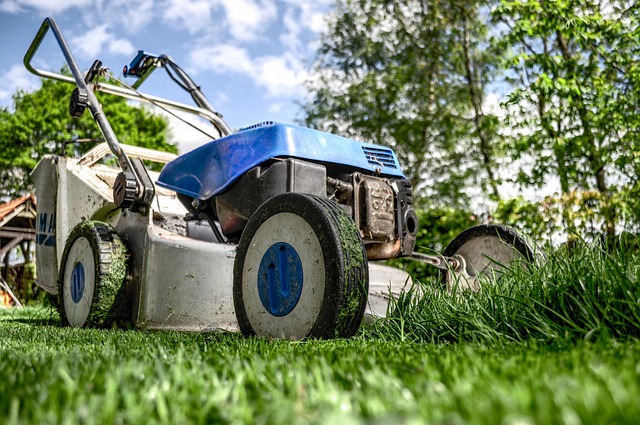 Onderhoud en verzorging van de tuin